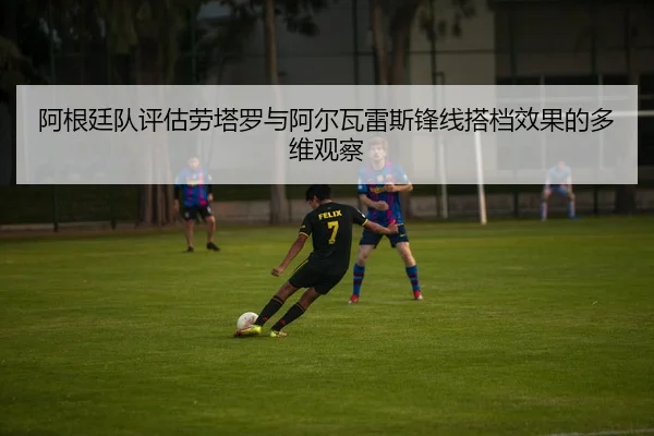 阿根廷队评估劳塔罗与阿尔瓦雷斯锋线搭档效果的多维观察